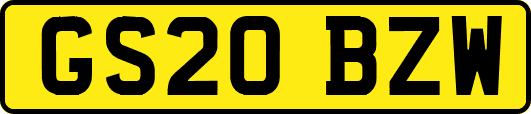 GS20BZW