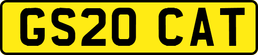 GS20CAT