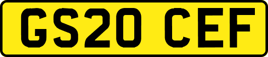 GS20CEF