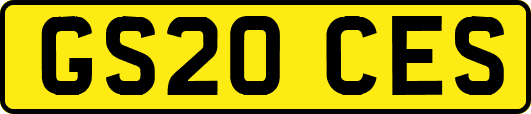 GS20CES