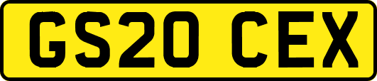 GS20CEX