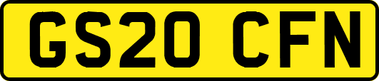 GS20CFN