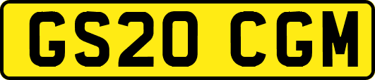 GS20CGM