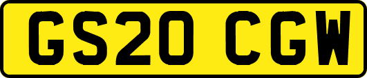 GS20CGW