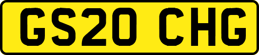 GS20CHG