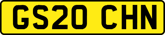 GS20CHN
