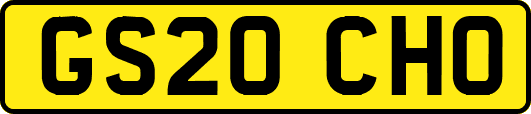 GS20CHO