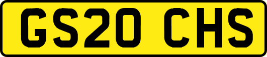 GS20CHS