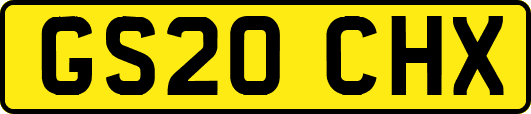 GS20CHX
