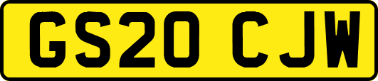 GS20CJW