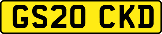 GS20CKD