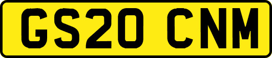 GS20CNM