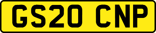 GS20CNP