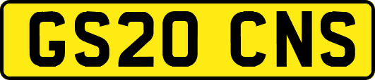 GS20CNS