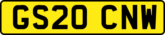 GS20CNW