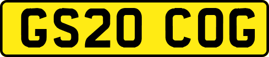 GS20COG