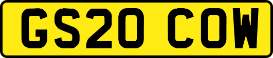 GS20COW