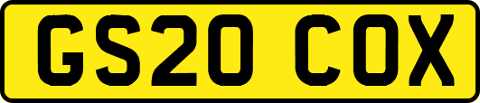 GS20COX