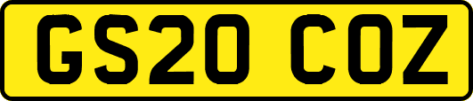 GS20COZ