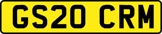 GS20CRM