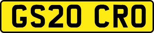 GS20CRO