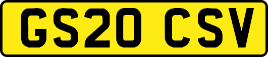 GS20CSV