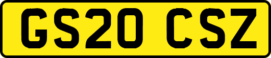 GS20CSZ