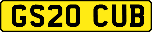 GS20CUB