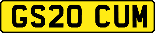 GS20CUM