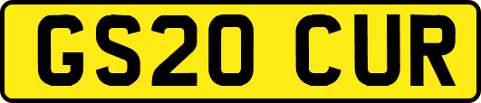 GS20CUR