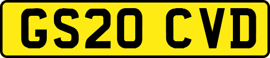 GS20CVD