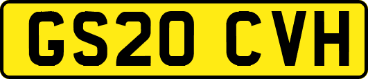 GS20CVH