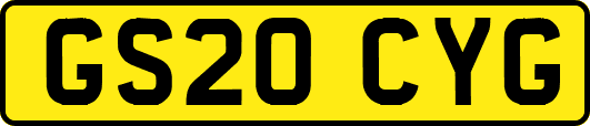 GS20CYG