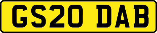 GS20DAB