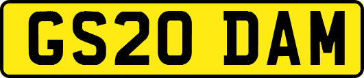 GS20DAM