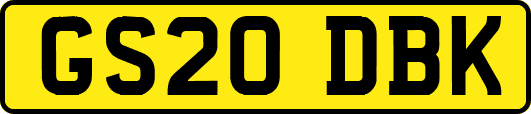GS20DBK