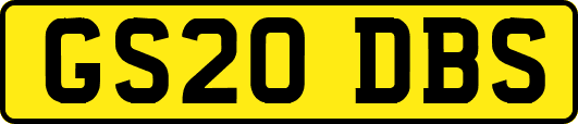 GS20DBS