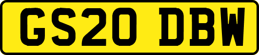 GS20DBW