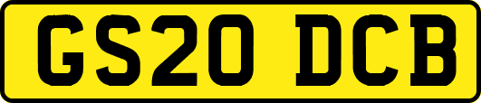 GS20DCB