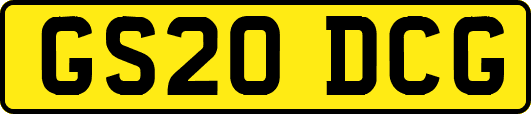 GS20DCG