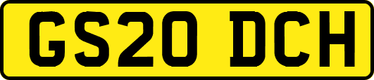 GS20DCH