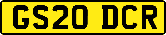 GS20DCR
