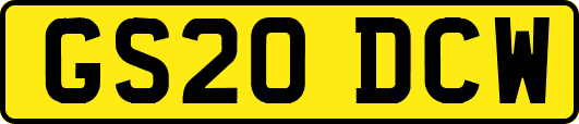 GS20DCW