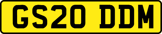 GS20DDM