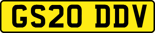 GS20DDV