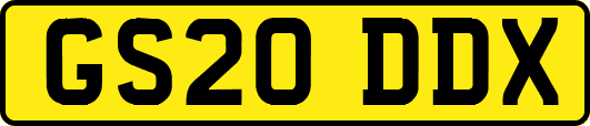 GS20DDX