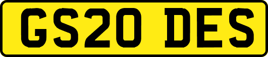 GS20DES
