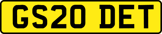 GS20DET