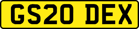 GS20DEX