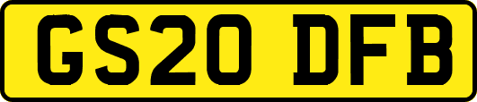 GS20DFB